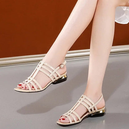 aichashi Low Heel Sandals Women Patent Leather Hollow Out Summer Women's Shoes New Soft Sole Fashion Ladies Roman Sandal 40