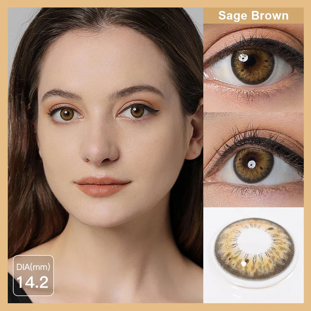 Aichashi 1 Pair Natural Colored Contact Lenses Gray Eye Lens Brown Contacts Beauty Pupils Makeup Color Lens With Free Lens Case