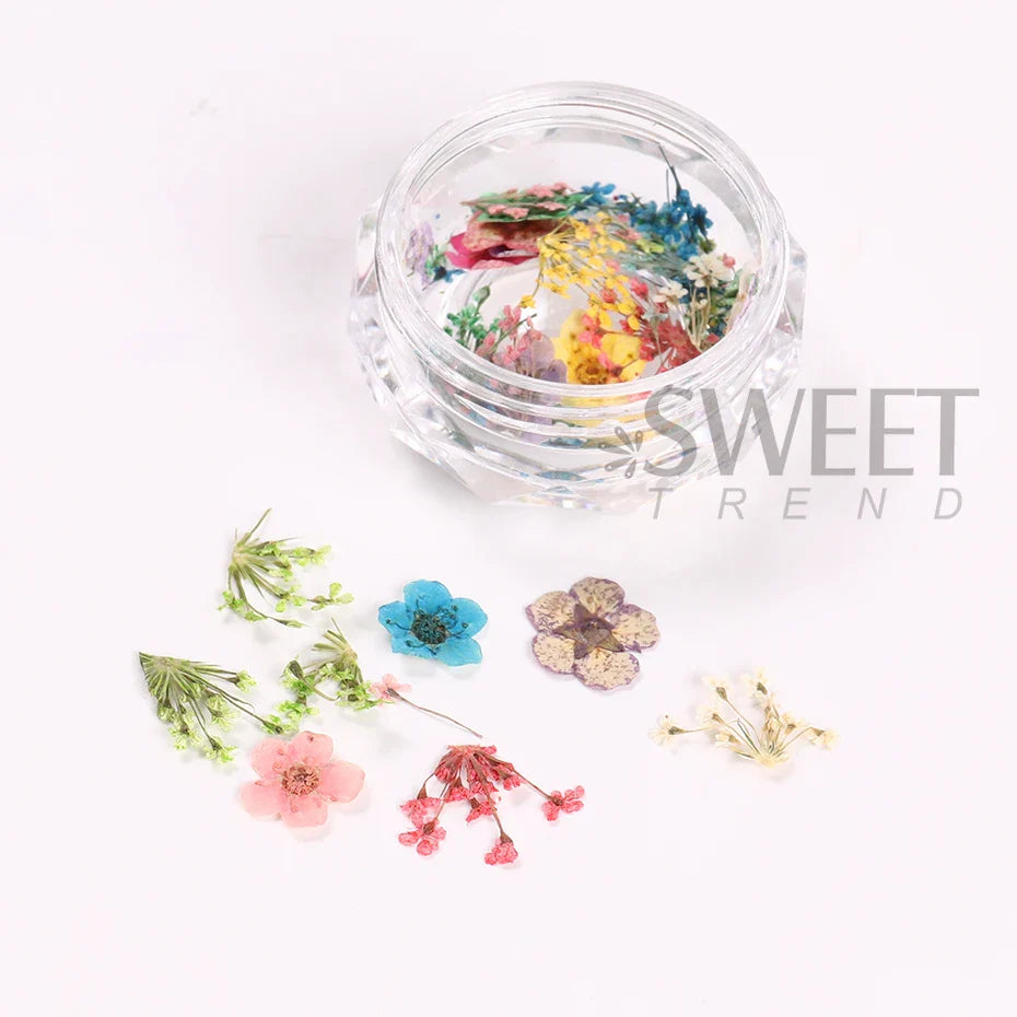 Aichashi 1Box Nail Art Flower Decoration Delicate 3D Dried Flower Nail Art Decorations Exquisite Nail Art Beauty For Charms Accessories