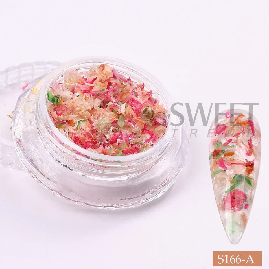 Aichashi 1Box Nail Art Flower Decoration Delicate 3D Dried Flower Nail Art Decorations Exquisite Nail Art Beauty For Charms Accessories