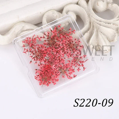 Aichashi 1Box Nail Art Flower Decoration Delicate 3D Dried Flower Nail Art Decorations Exquisite Nail Art Beauty For Charms Accessories