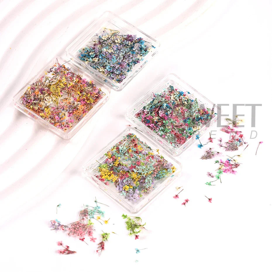 Aichashi 1Box Nail Art Flower Decoration Delicate 3D Dried Flower Nail Art Decorations Exquisite Nail Art Beauty For Charms Accessories