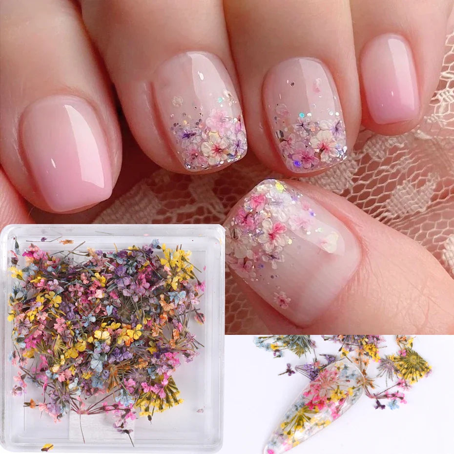 Aichashi 1Box Nail Art Flower Decoration Delicate 3D Dried Flower Nail Art Decorations Exquisite Nail Art Beauty For Charms Accessories