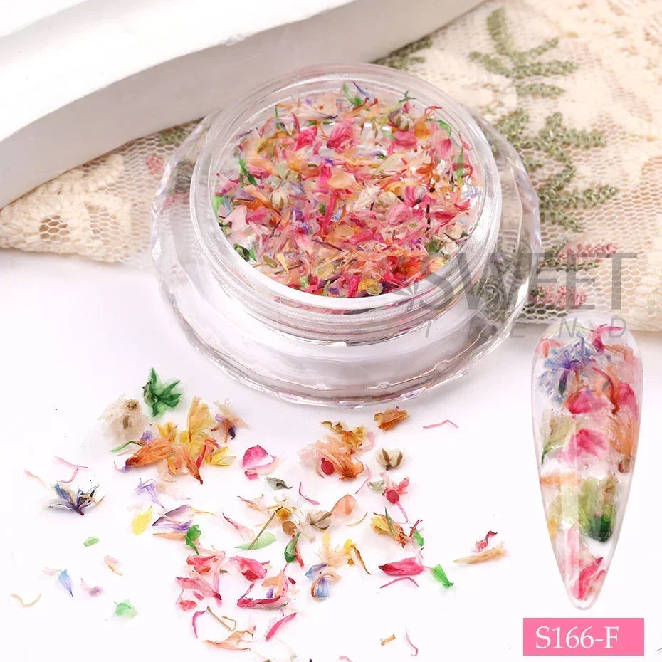 Aichashi 1Box Nail Art Flower Decoration Delicate 3D Dried Flower Nail Art Decorations Exquisite Nail Art Beauty For Charms Accessories