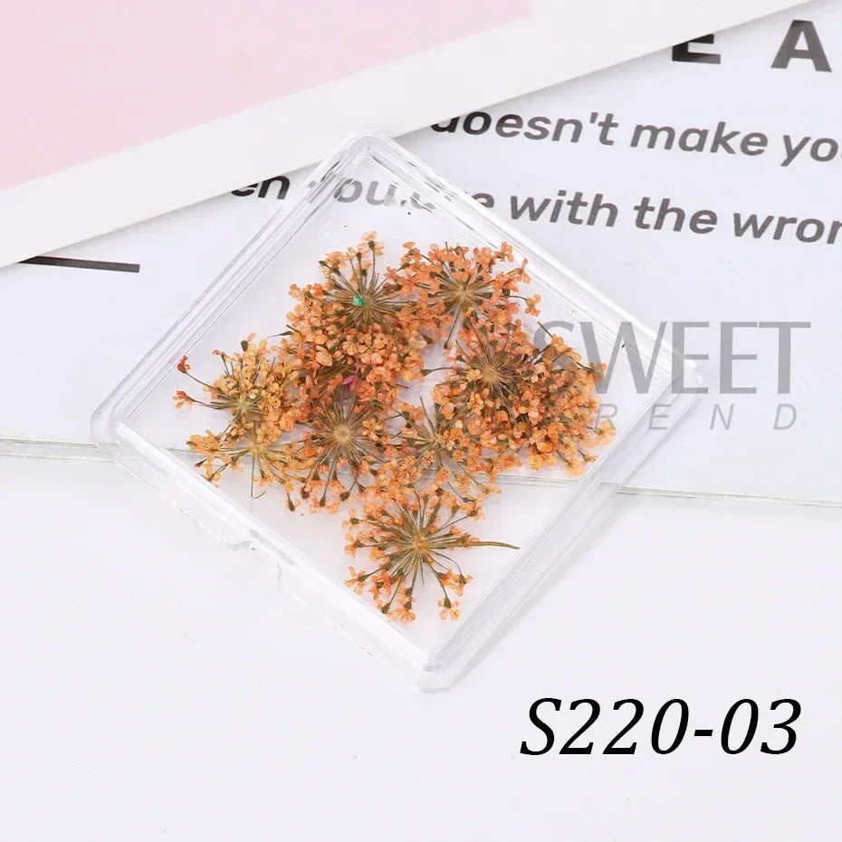 Aichashi 1Box Nail Art Flower Decoration Delicate 3D Dried Flower Nail Art Decorations Exquisite Nail Art Beauty For Charms Accessories