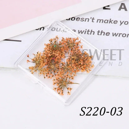 Aichashi 1Box Nail Art Flower Decoration Delicate 3D Dried Flower Nail Art Decorations Exquisite Nail Art Beauty For Charms Accessories